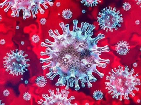 Việt Nam phát hiện thêm hai biến chủng SARS-CoV-2 mới, từ những ca bệnh nhập cảnh