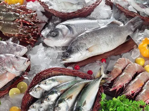 10 Lý do bạn nên ăn có đều đặn mỗi tuần