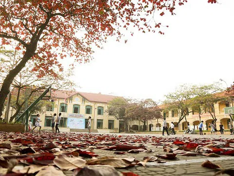 Hải Phòng: Giáo viên trường THPT Ngô Quyền vẫn miệt mài dạy học từ khu cách ly