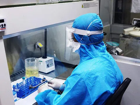 Xuất hiện biến chủng nCoV mới ở Việt Nam