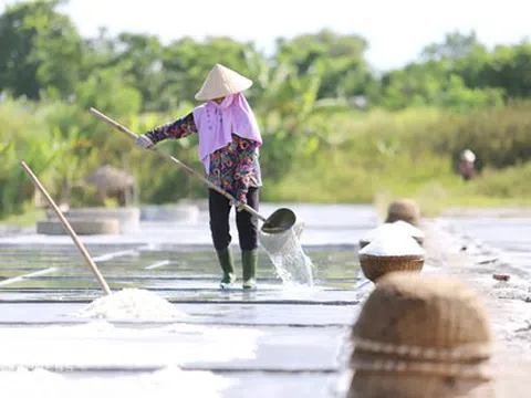 Diêm dân mưu sinh dưới "chảo lửa" miền Trung
