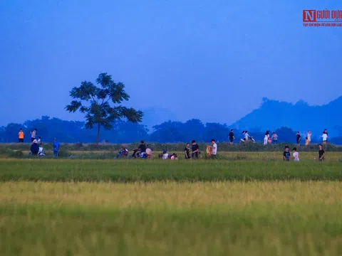 Hà Nội: Người dân tụ tập thả diều "bỏ quên" khuyến cáo của thành phố