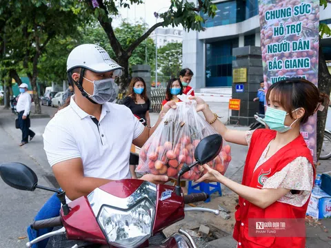 Người dân Hà Nội tiếp tục hỗ trợ tiêu thụ vải thiều Lục Ngạn
