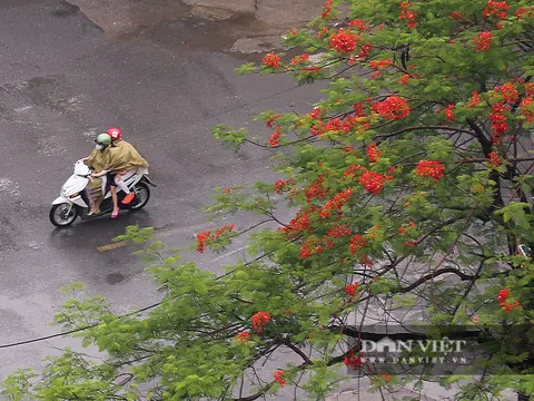 Bầu trời Hà Nội mưa liên tiếp, thời tiết mát mẻ sau nhiều ngày nắng nóng gần 40 độ C