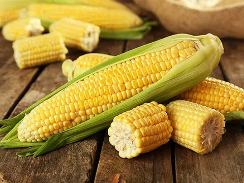 Dinh dưỡng và lợi ích đằng sau những bắp ngô