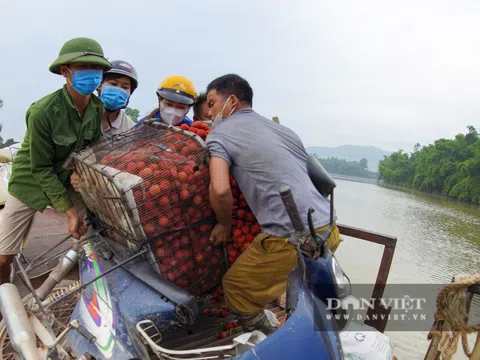 Dân chở vải thi nhau "vồ ếch", ngã lia lịa khi đi qua cầu "tử thần" ở Bắc Giang