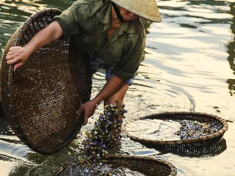 Nghề “lạ mà quen” ở Hà Tĩnh: Cả làng đi thụt lùi đãi “lộc trời” trên sông La