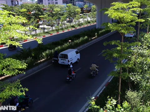Con đường mát mẻ dài nhất của Hà Nội trong những ngày nắng nóng đỉnh điểm