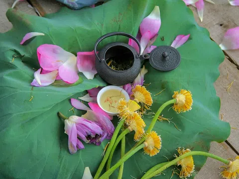 Trà sen, một thoáng tinh hoa Tây Hồ