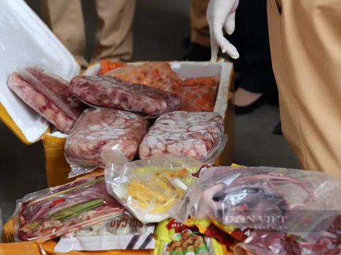 Hà Nội: Thu giữ 10 tấn cánh gà, nầm lợn, râu bạch tuộc đã bốc mùi trên cao tốc Pháp Vân