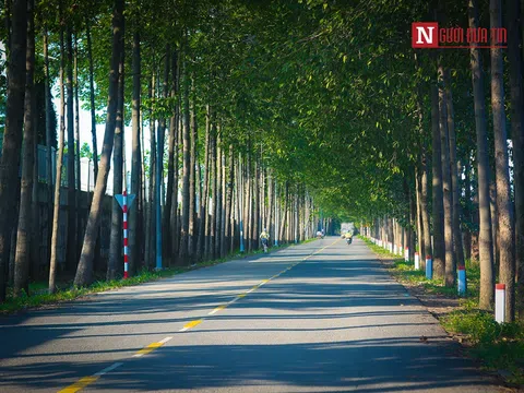 Đồng Nai: TP.Biên Hòa yên ả sau lệnh giãn cách xã hội