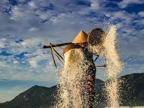 Hòn Khói trắng tinh từng ruộng muối