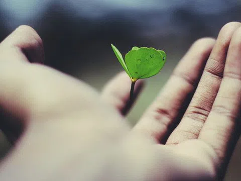 Hạnh phúc đâu xa xôi, chỉ cần làm tốt 5 điều này hàng ngày