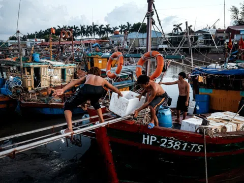 Một sớm Đồ Sơn