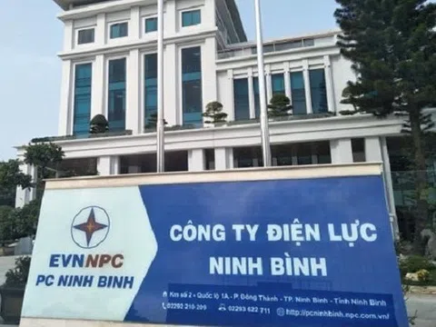 Điện lực Ninh Bình: Doanh nghiệp quen liên tiếp trúng thầu
