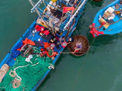 Chợ cá nhộn nhịp nhất Quảng Nam