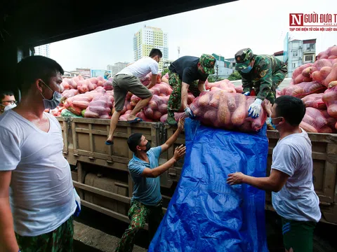 Vận chuyển gạo và nhu yếu phẩm hỗ trợ TP. HCM, Bình Dương chống dịch