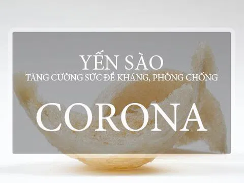 Không chỉ đeo khẩu trang, dùng yến sào PDC mới là cách ngừa corona hiệu quả