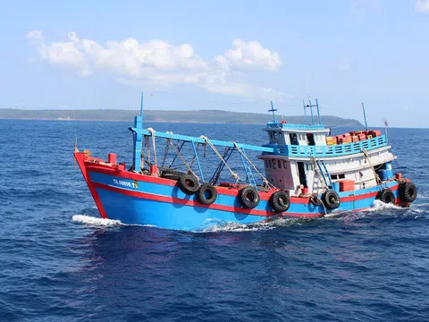 Kiên Giang: Bắt giữ tàu chở 50.000 lít dầu D.O không rõ nguồn gốc