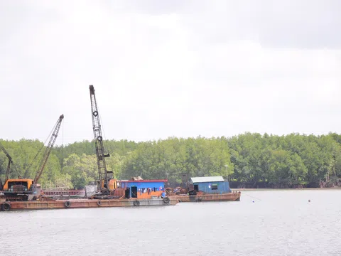 TP. Hồ Chí Minh: Đề nghị chọn nhà đầu tư có năng lực để triển khai dự án xã hội hóa nạo vét