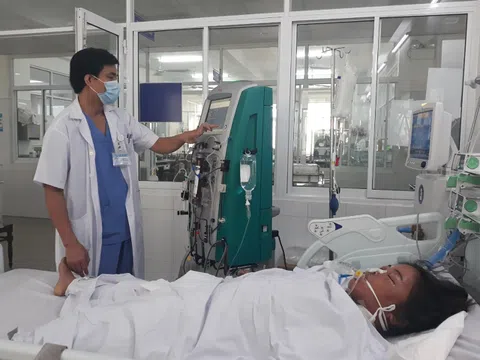 Đà Nẵng: 3 người phải nhập viện cấp cứu vì ngộ độc nặng do ăn nấm