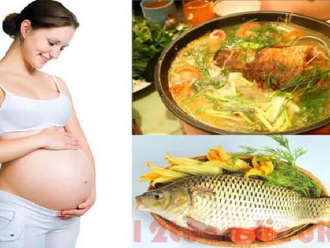 Những loại cá bà bầu nên ăn tốt cho thai nhi