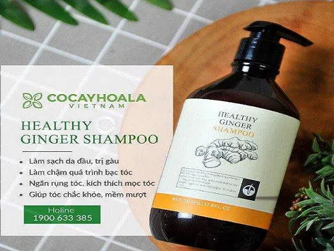 Đâu đâu cũng nói về xu hướng sống xanh, còn bạn thì sao? Đã lựa chọn cho mình một cuộc sống đúng nghĩa hay chưa?