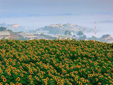 Tháng 4 mùa hoa nở tại Đà Lạt