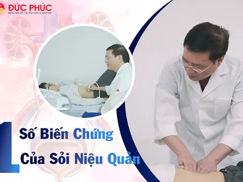 Đau thận là đau ở đâu?