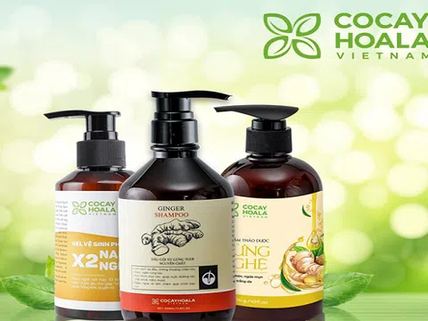 ONA Global và hành trình 3 năm đồng hành cùng sức khỏe hơn một triệu gia đình Việt Nam