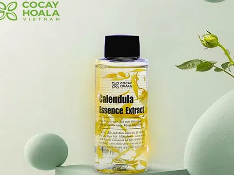 Trầy trật vì da khô, lỗ chân lông to cuối cùng cũng tìm ra bí kíp giúp da căng mịn, trắng hồng