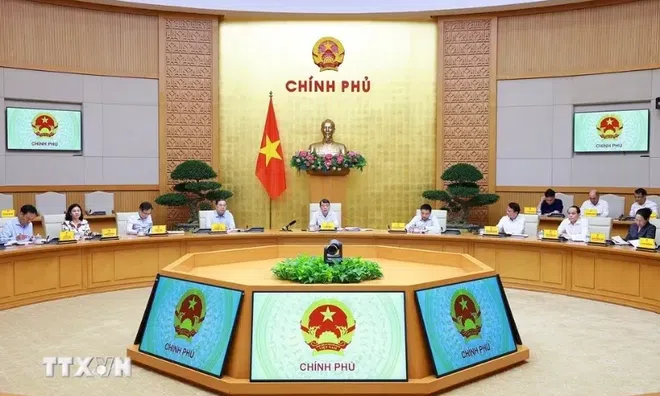 Đánh giá cán bộ phải lấy hiệu quả công việc và mức độ cống hiến làm thước đo